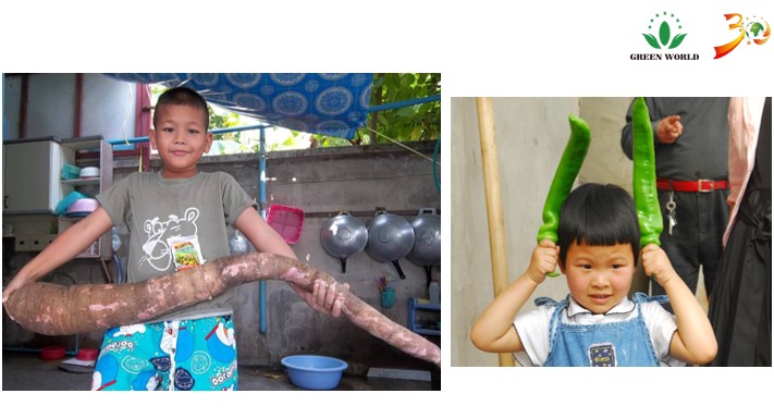 project-slider-image