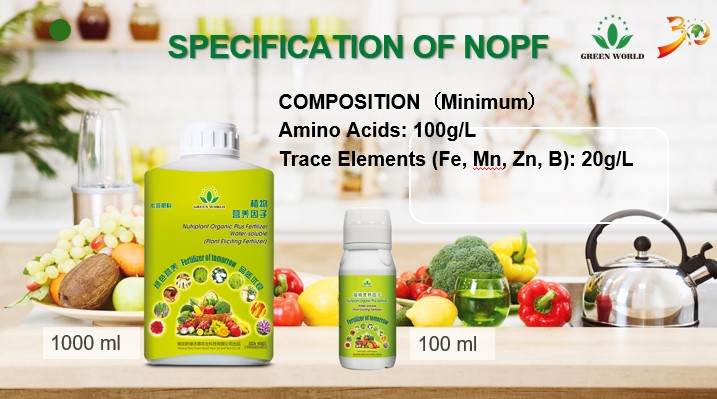 project-slider-image